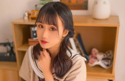 一只会飞的母鸡