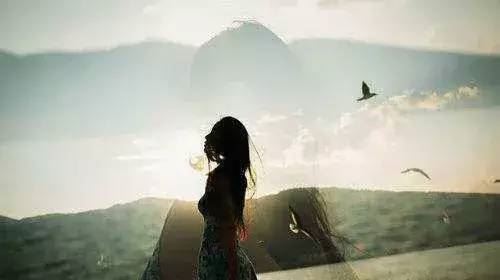 智慧光辉下的一次奇遇