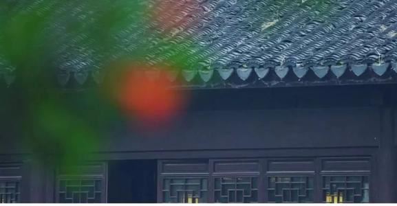 那个陌生的老人