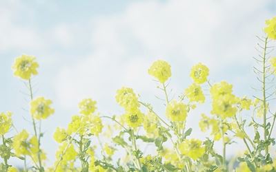 陪伴就是一种力量