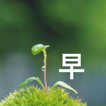 子夜秋风中痴痴等待的小人儿