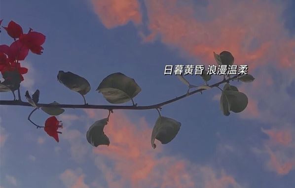 多少同桌多少故事