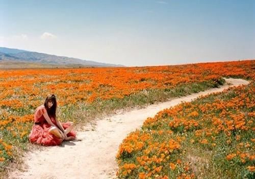 那令人惊异的味道