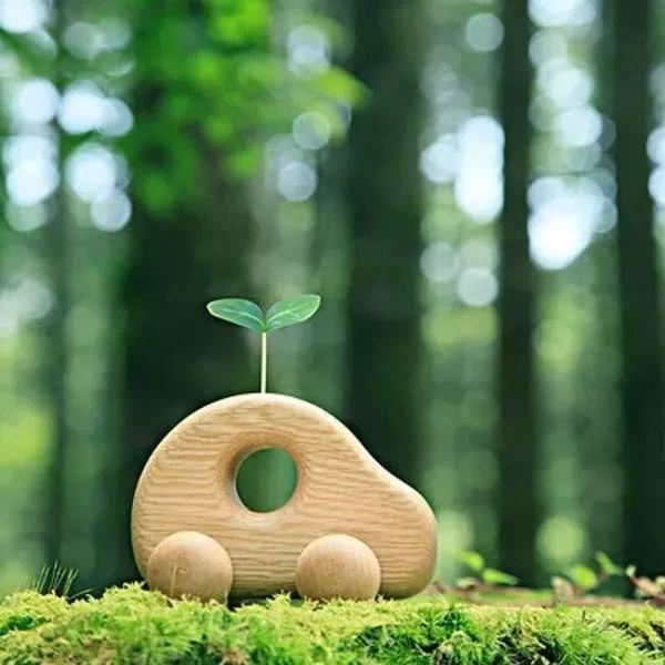 把握青春最好时