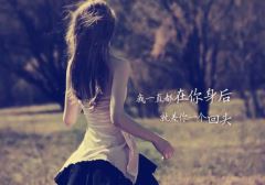 暖流与力量之舞