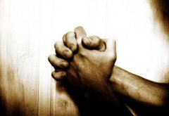 小草的成长历程