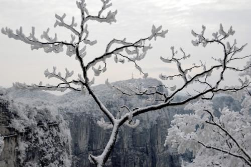 良言一句三冬暖,恶语伤人六月寒