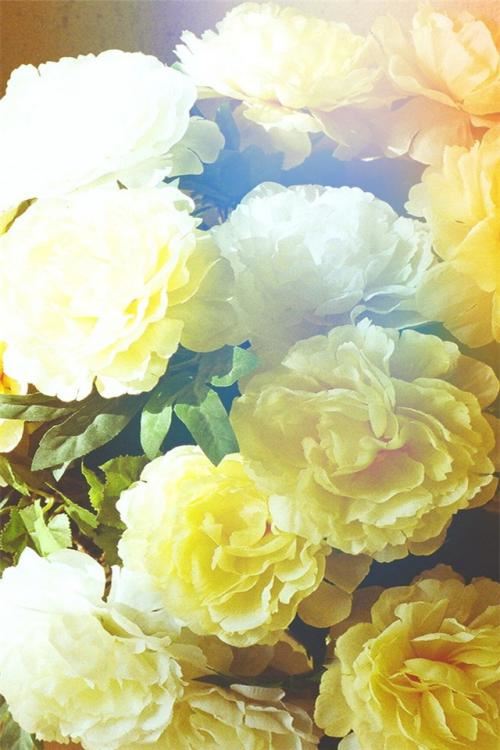 前程似锦——梦想与努力