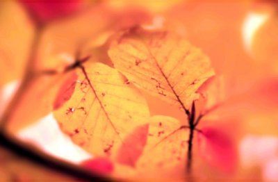 谈论睡眠健康的重要性