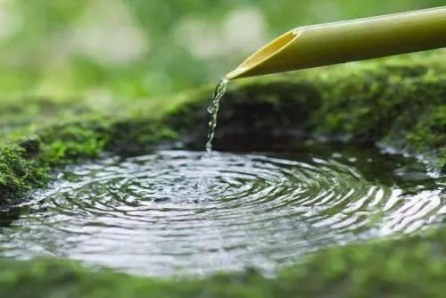 母亲的蛋糕哲学