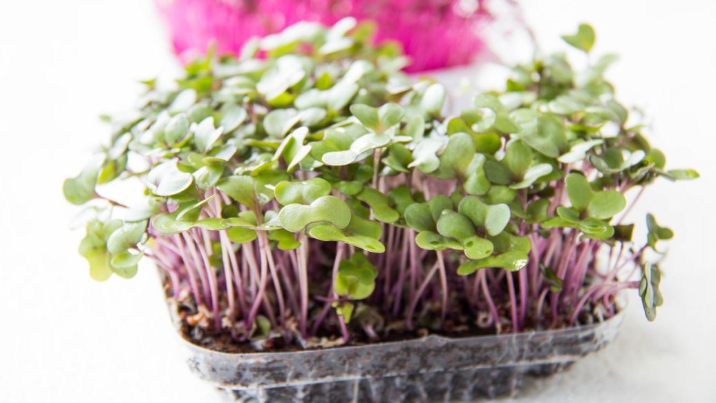 情话说给爱的人听，就像爱文字的人都是好人