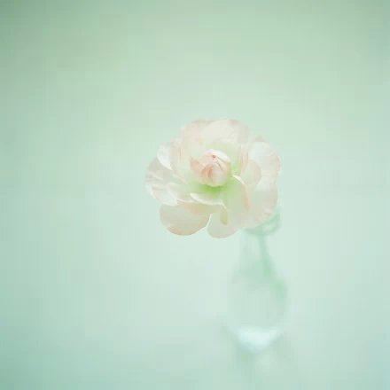 各位,请说,但愿岁月长久够挥霍