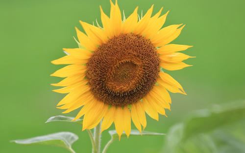 爸爸的鼓励，是我前进的动力