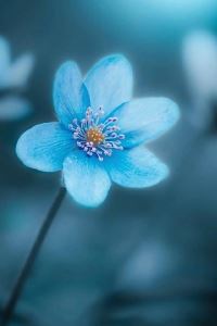 月下之约:月圆月缺不见离人