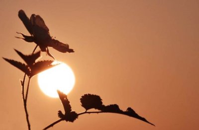 金陵十二钗正册——侯门富贵奈何天，怨湘云误入湘江水