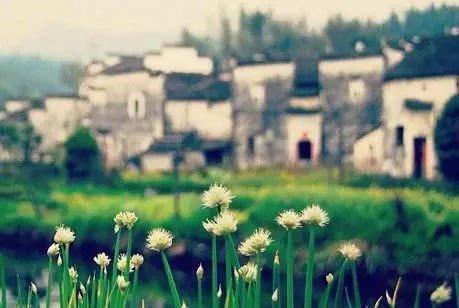 奔跑在雪地上的童年