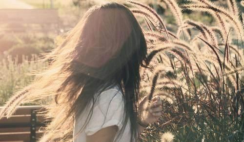 无私的生命——落叶的故事