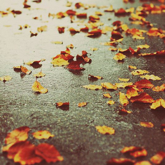 安娜和艾莎的姐妹情