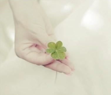 世界歌剧的饕餮盛宴