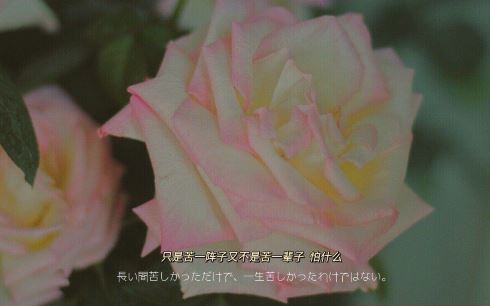 如果未曾遇见你