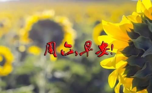 小姑娘轻轻拍了拍梦婷的肩膀:“不哭,我们可以重新画一幅。你看,大家都在等着你的表演呢。”