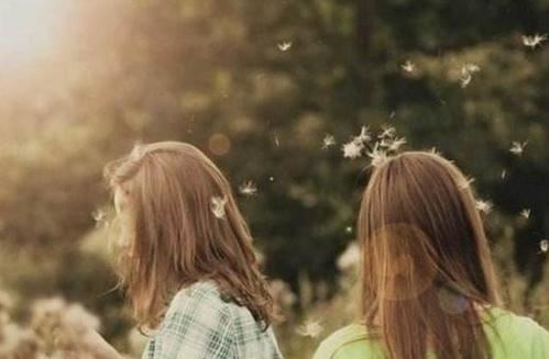 毛豆[一个人一条狗的故事]