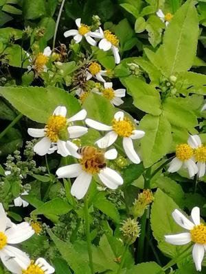 人生故事《“50后”UP主的诗与远方》