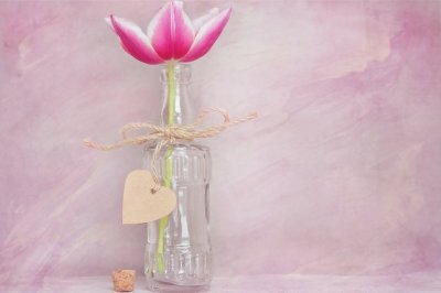 《家训与我一起成长》