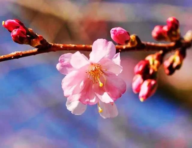 火柴的奇妙力量