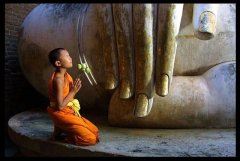 家乡枸杞的奇妙传说：探寻枸杞背后的故事