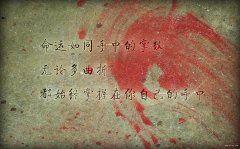 我和二十四孝
