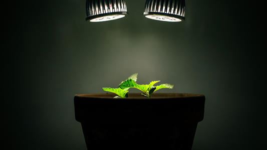 《你给的依赖我已习惯》 本人2014-2015年春季学期语文考试作文