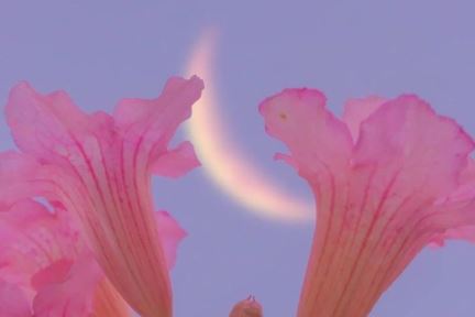 抛开包袱面对人生