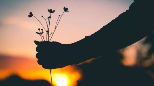 我知道你很难,但生活没那么糟