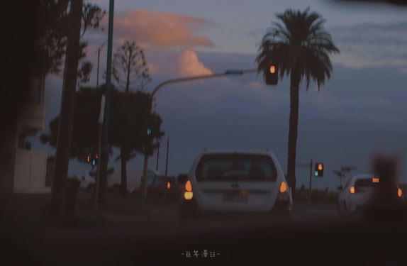 寻找大自然的足迹