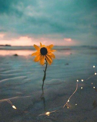 活出自信,以失败为青春姿态