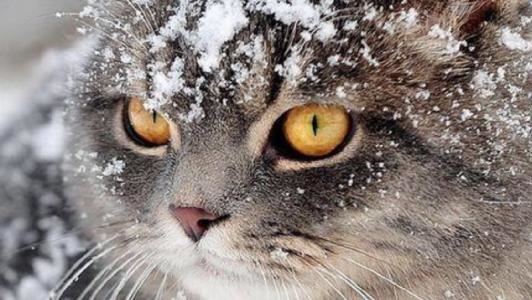 你是我遥不可及的梦