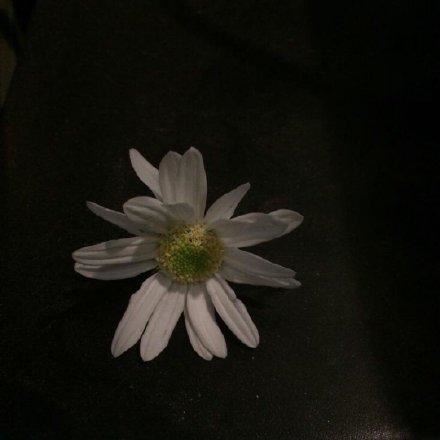 坚定不移的记忆