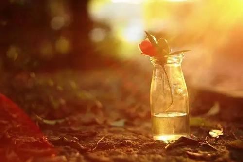 一个陌生男子和我之间的故事