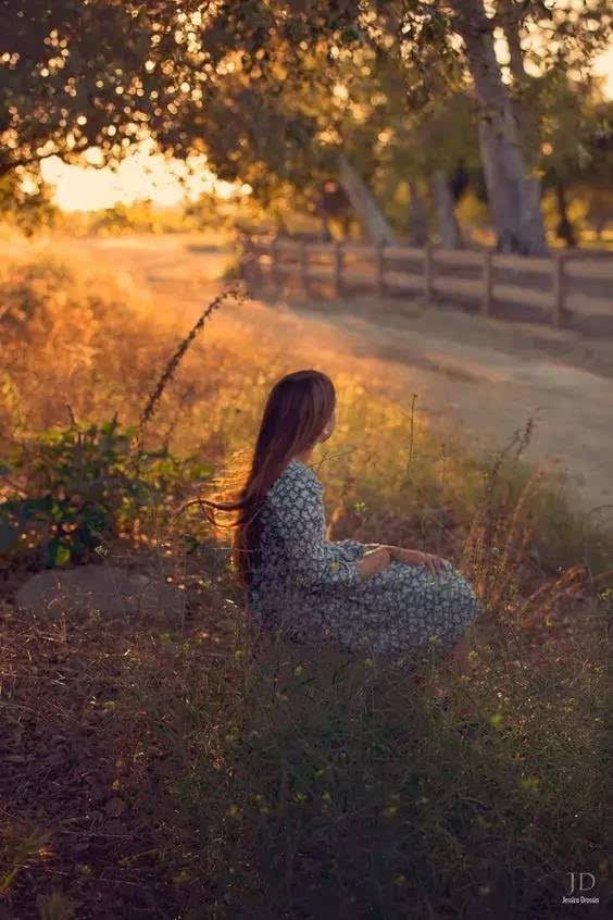 一个关于坚韧、勇气和善良的小故事