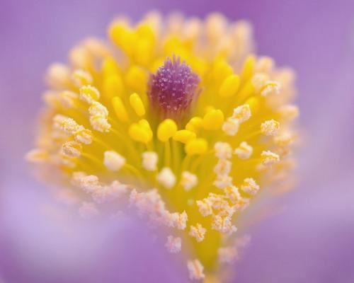 坚定乐观,勇攀高峰