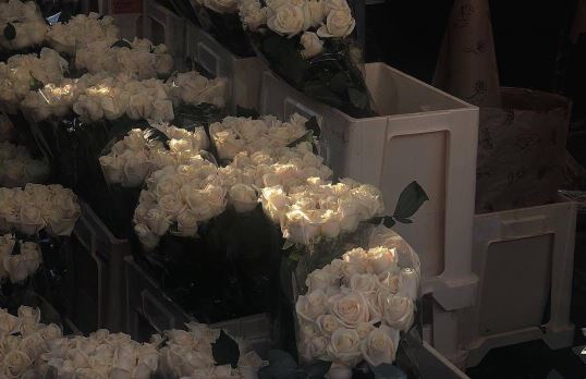 大江之子 二十五 河东河西