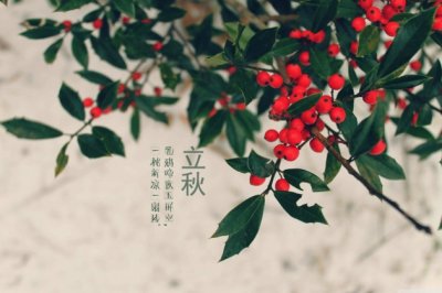 盛一朵缠绵的心花，沐一场心灵的清欢