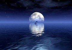 要善于倾听不同的声音和意见