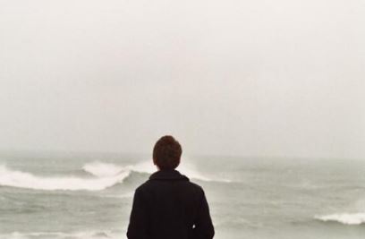 一只流浪狗的旅程