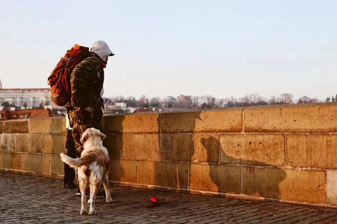 勤学苦练,终成大器
