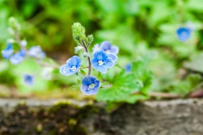 感恩之心,受益无穷