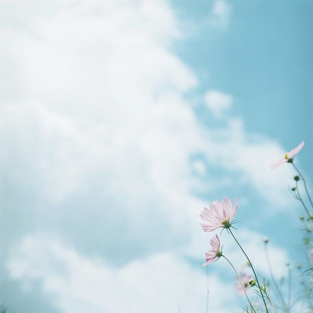 一盏明灯,照亮人生路