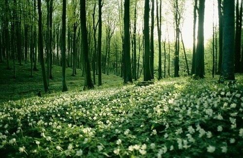 博大精深，源远流长的家族传承