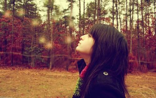 秋风扫,又经落红处